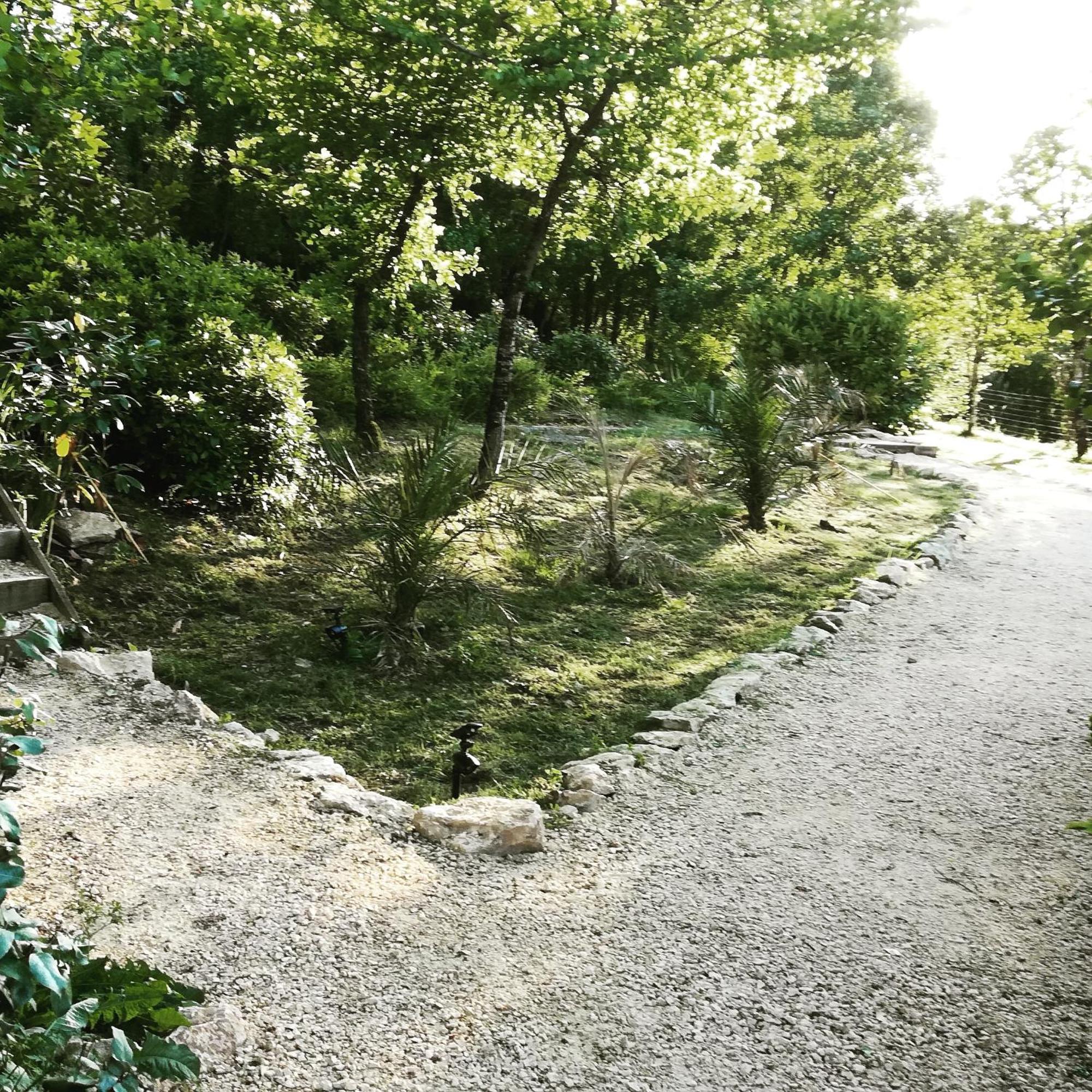 לינה וארוחת בוקר Saint-Cybranet La Source מראה חיצוני תמונה